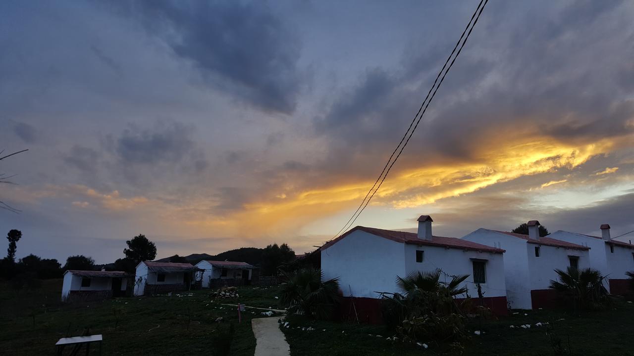 Ferma Jebala Ecolodge Kitane Chambre photo